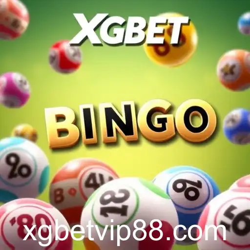 Exploring the Exciting Bingo Hall Category on xgbet